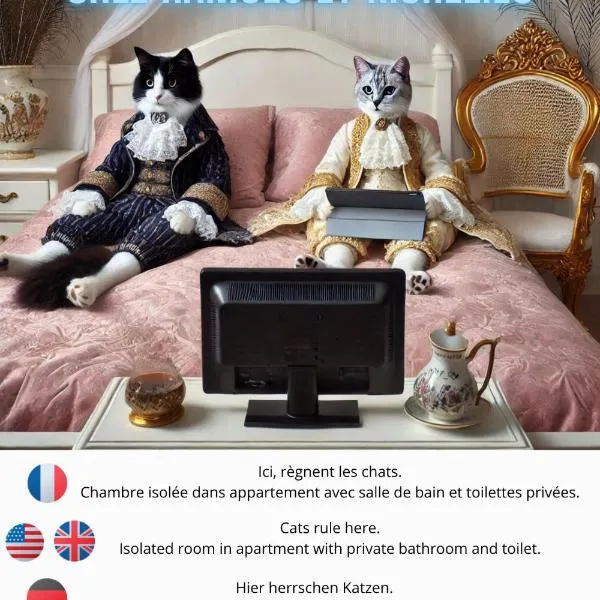 Chez Ramsés et Richelieu, hotel in Pau