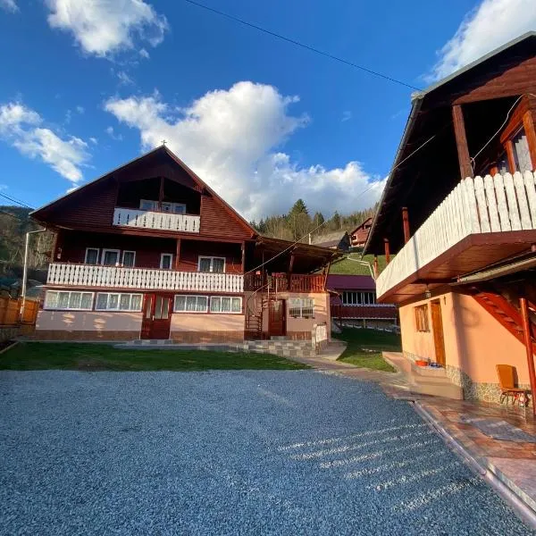 Pensiunea Daiana, hotel a Albac