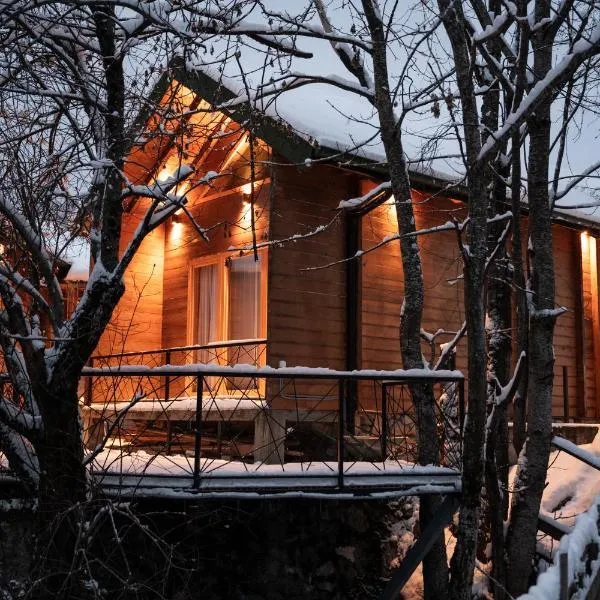 4 Chalets, hotel in Kolašin