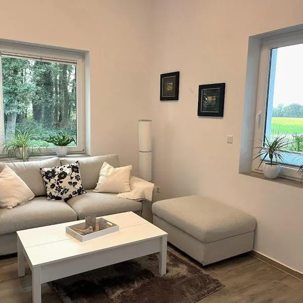 sanierte ruhige Wohnung in der Natur mit Küche, hotel in Wettringen