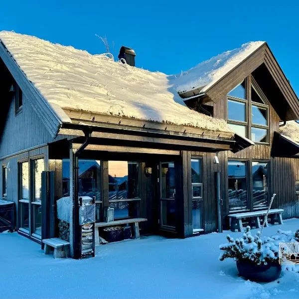 High standard cabin at Sjusjøen sauna, hot tub & ski trails right outside, ξενοδοχείο σε Ringsaker