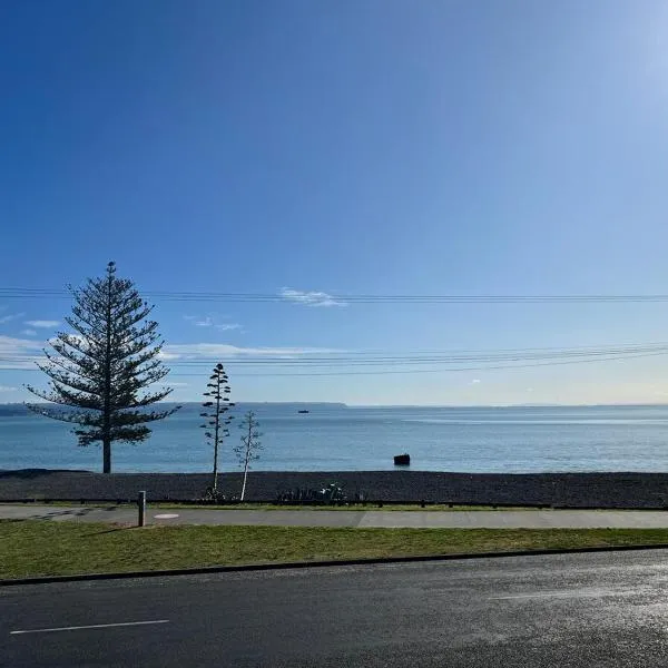 Shell's Beachfront BnB, hotel v destinaci Napier