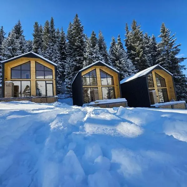 ToodoResort, hotel in Karakol