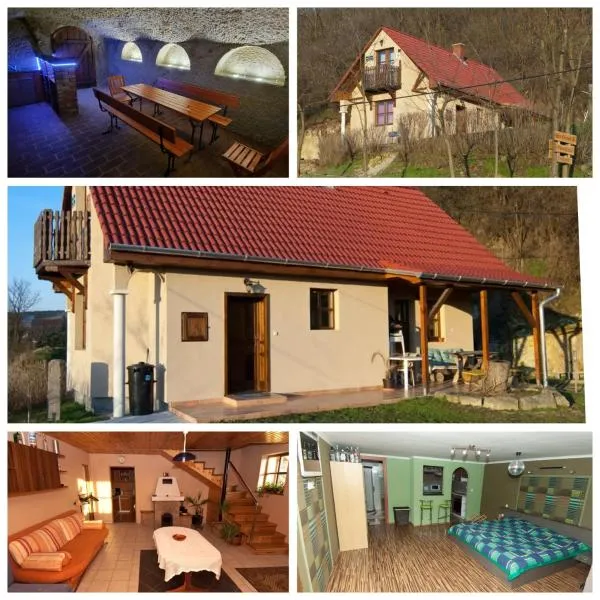 Sas-Fészek Vendégház, hotel v destinaci Demjén