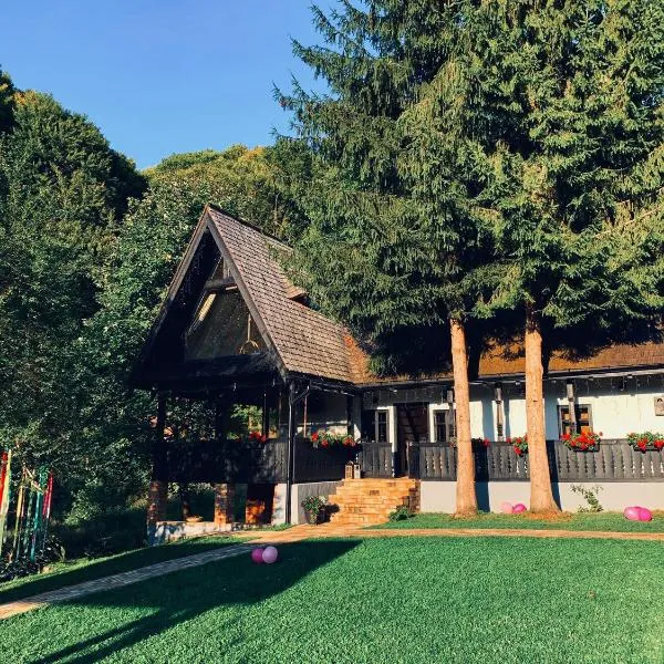 Căsuța cu doi brazi, hotel in Baia Mare