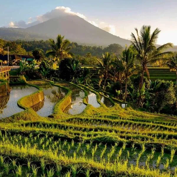 Dedari Lodge Jatiluwih Rice fields, hotel v destinaci Jatiluwih