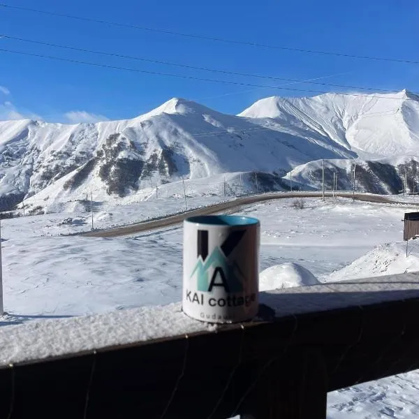 Chalet Gudauri, hotel in Gudauri