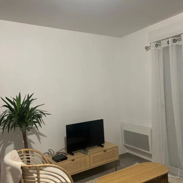 Appartement moderne et spacieux avec terrasse privée 1, hotel a Carbon-Blanc