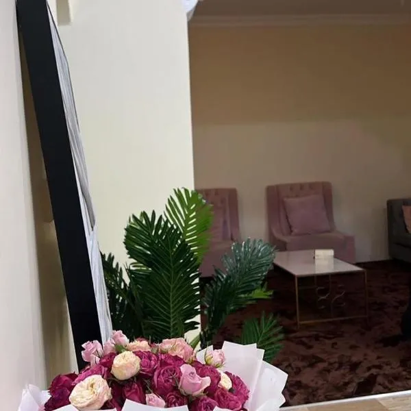 شقة فندقية الشفاء مودرن, hotel v destinaci Hail