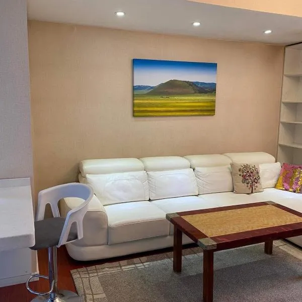TP Central comfort Apartment 1 bedroom, hotel in Ulaanbaatar