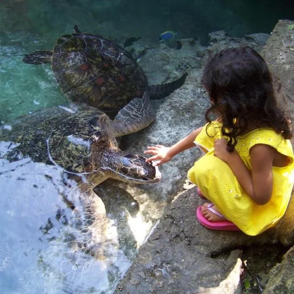 Baraka Aquarium Bungalows, Hotel in Nungwi