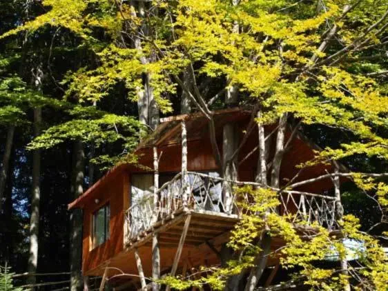 Harmonie Tree house Cotagges Chalet Predeal Trei Brazi, hotel u gradu Predeal