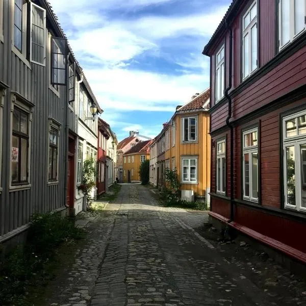 Liten studioleilighet meget sentralt i sentrum, 3 minutter fra torget โรงแรมในทรอนด์เฮม