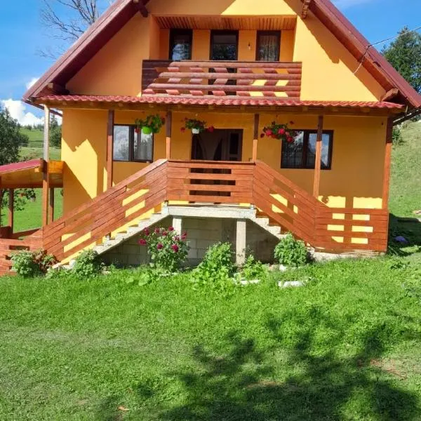 Cabana Diana Dealul Frumos, hotel in Hănăşeşti