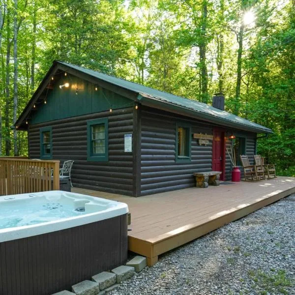 The Big Little Cabin - Hot Tub & Playground, hotel in Dahlonega