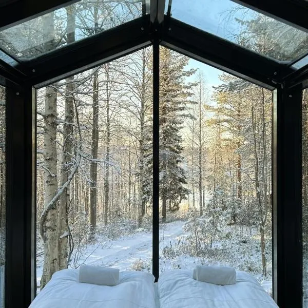 Sky Lodging ~ sleeping under the stars, hotel v destinaci Rovaniemi