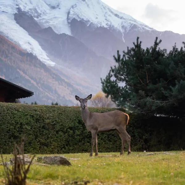 Chalet la Pagode, vue Mont-Blanc et jardin privé, hotel in Chamonix