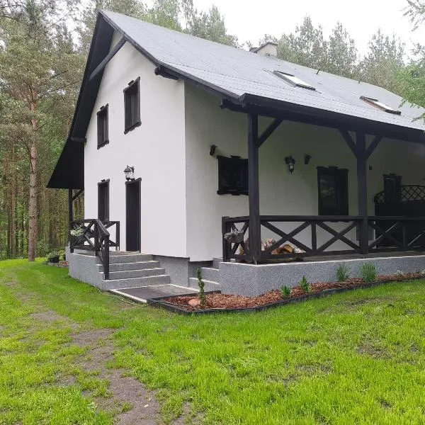 Skrzynia, hotell i Skrzynia