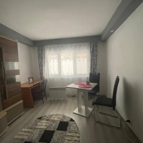 La Bubu, hotel en Uricani