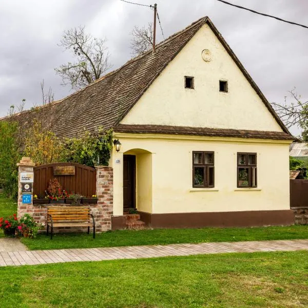 Snašini kućari, hotel Gradište városában
