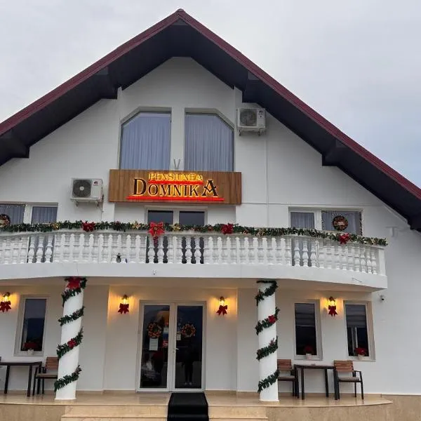 Pensiunea Domnika, hotel v destinaci Dej