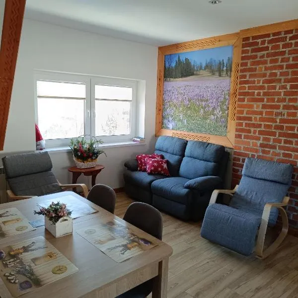 Dom W Krokusach Pokoje Gościnne, hotel in Nowe Bystre