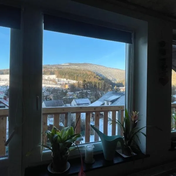 Apartmán Čížci Horní Maršov, hotel v destinaci Horní Maršov