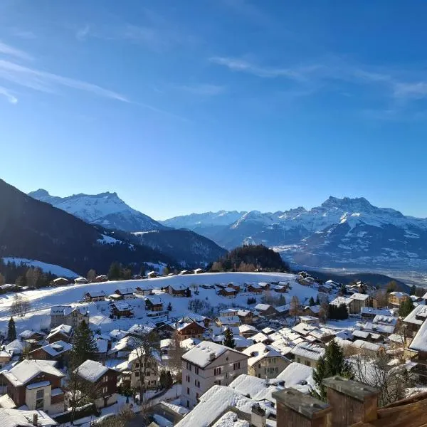 Le Nid d'aigle apt 405 Leysin centre avec tarifs dégressifs et forfait piscine sauna jacuzzi en option, hotel di Leysin