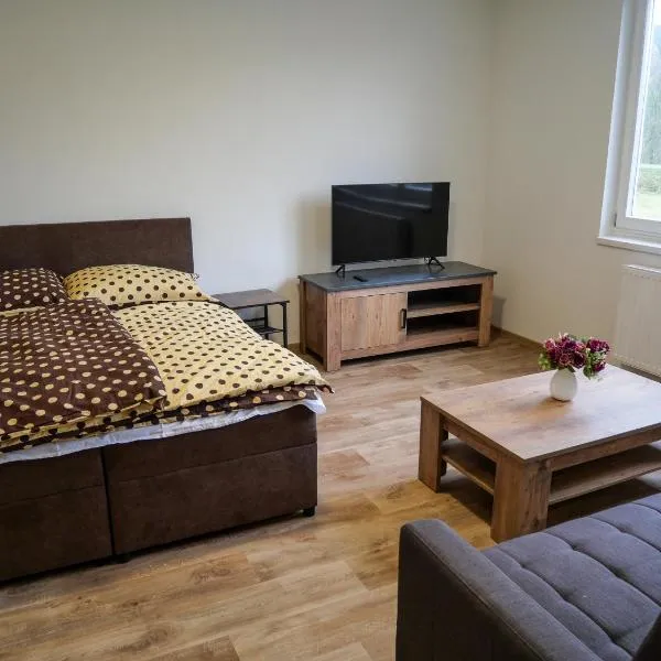 Apartmánový byt Kristýna, hotel v Novém Hrozenkově