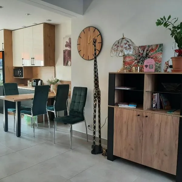 Apartament Renii, hotel v destinácii Tomaszów Mazowiecki
