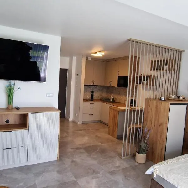 Apartament-Studio, hotel din Nowy Targ