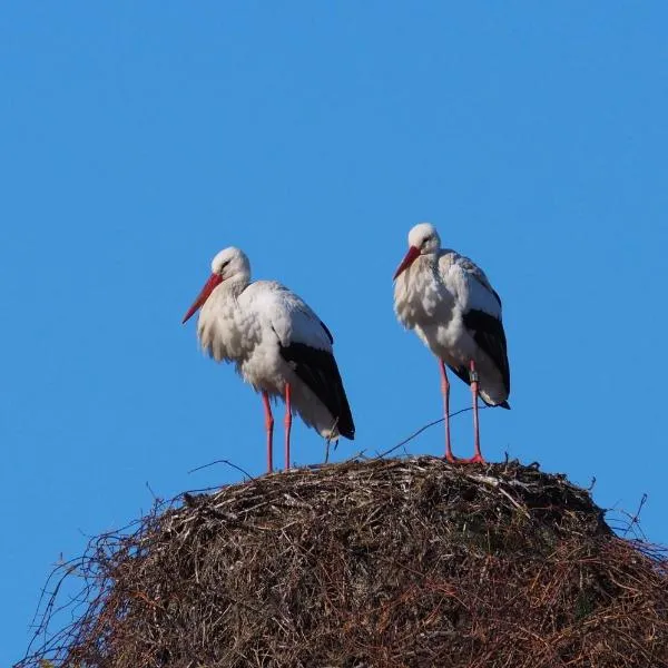 Ferienwohnung Storchenblick, hotel em Raisting