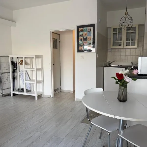 Lovely condo next to European Area, hotel a Bruxelles