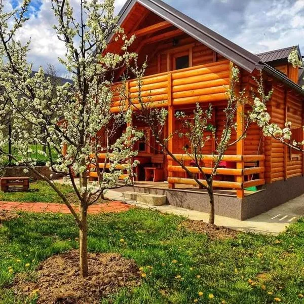Holiday cottages with pool, hotel v destinaci Plav