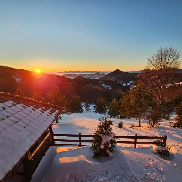 Planinska kuća Tasić, Tara, hotel in Mokra Gora
