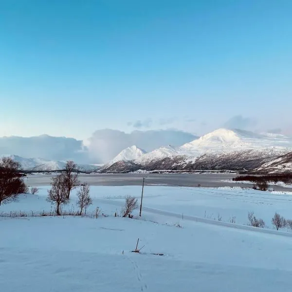 Marvelous farmhouse with amazing fjord and mountain view in Northern Norway、Nordøyaのホテル