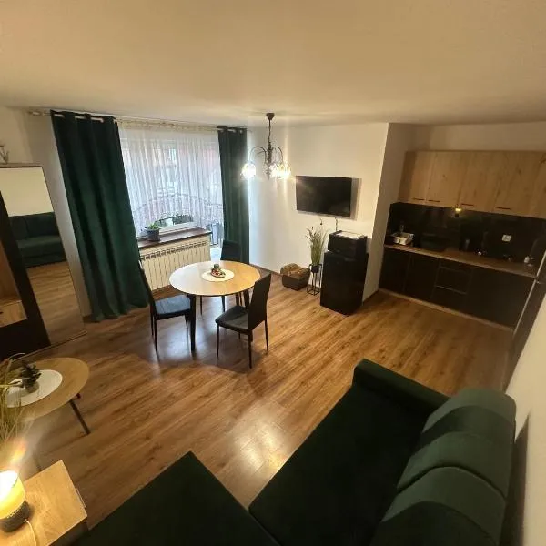 Apartament Mączyńskiego, hotel v destinaci Jarosław