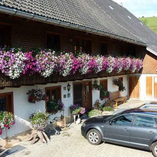 Biobetrieb Lippenhof, hotel v destinaci Breitnau