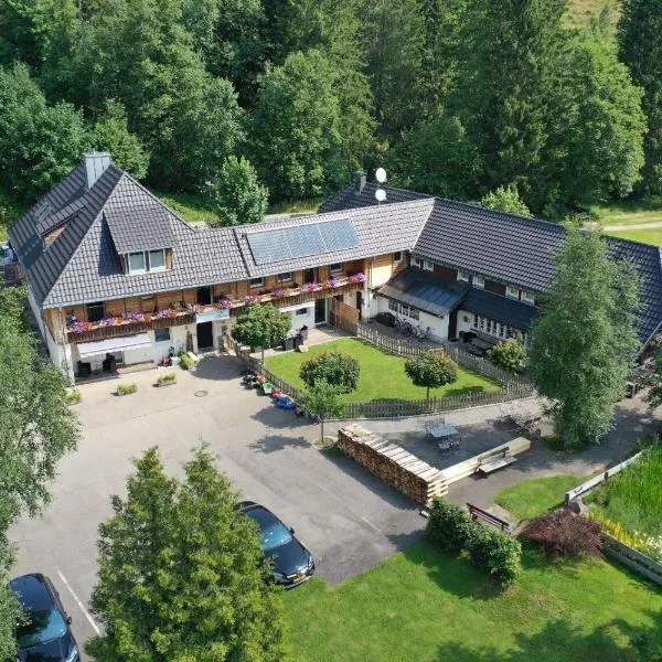 Albhof Am Wasserfall, hotel v destinaci St. Blasien