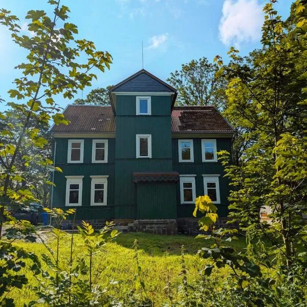 Villa Grün im Oberharz, hotel in Clausthal-Zellerfeld