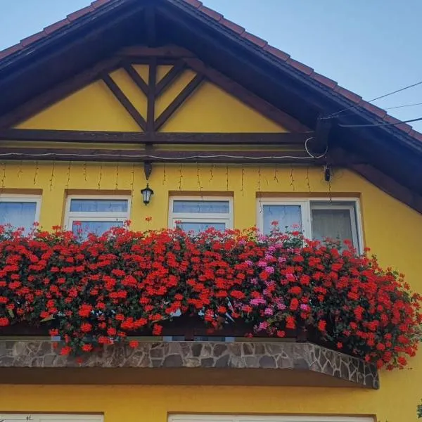 Hazanéző Panzió, hotel in Corund