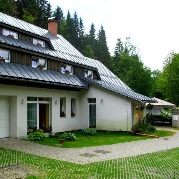 Penzion U Kocoura, hotel a Desná