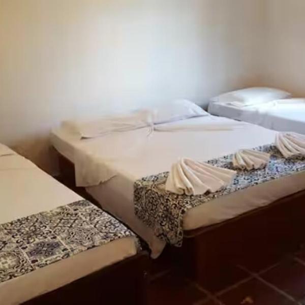 Haras São Vicente - Foto 2