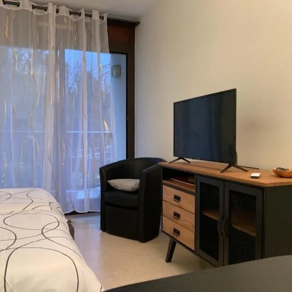 Très jolie studio à louer avec sa belle terrasse de 4m2 idéalement situé dans un hôtel thermale, hotel in Dax