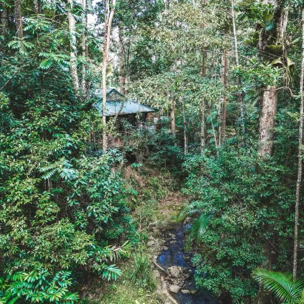 Narrows Escape Rainforest Retreat, hotel in Montville