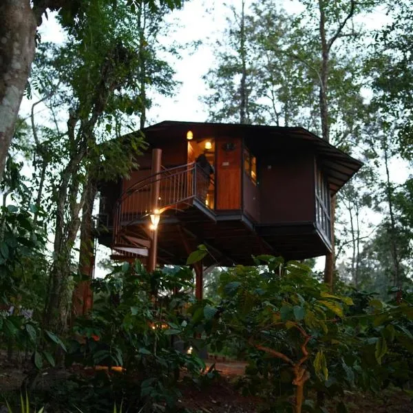 Pugmarks Jungle Lodge, hotel v destinaci Chegāt