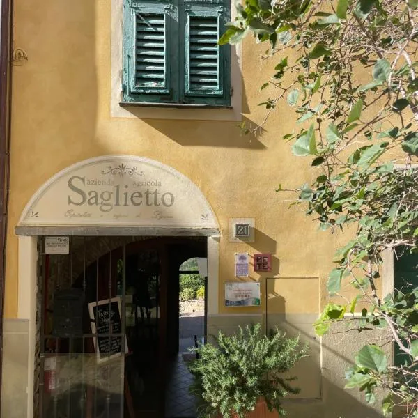 Uliveto Saglietto Agriturismo a Poggi Apartments, hotel v destinaci Imperia