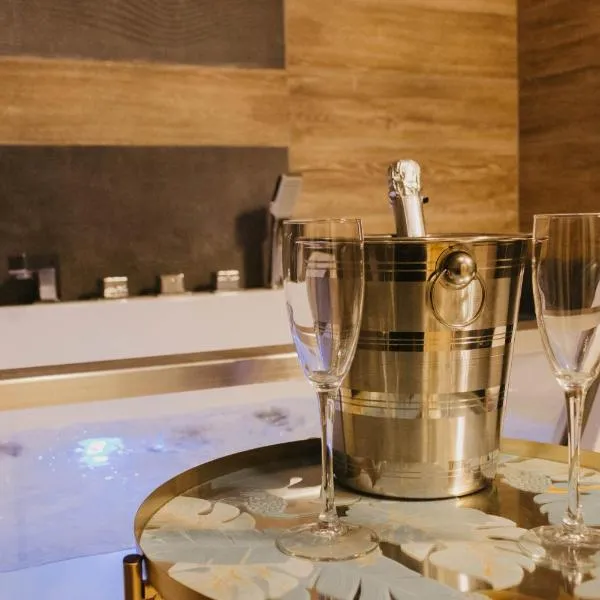 PLAN Deluxe Hydro Suite Niš, centar, free parking, hotel in Niš