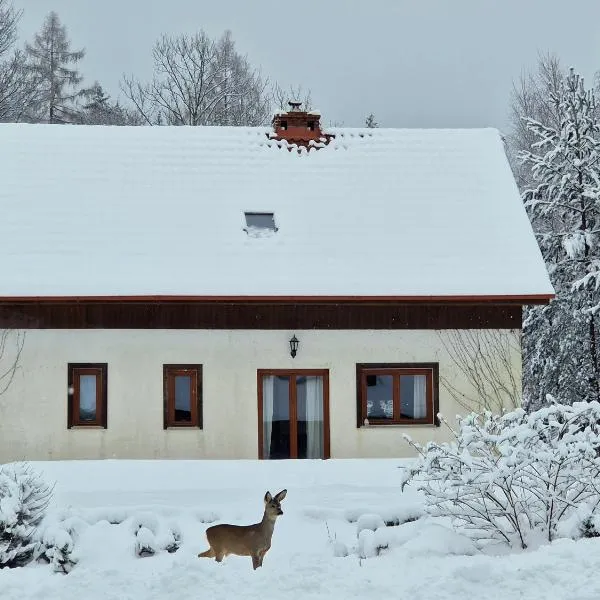 Dom Na Pstrążnicy, hotel em Kudowa-Zdrój