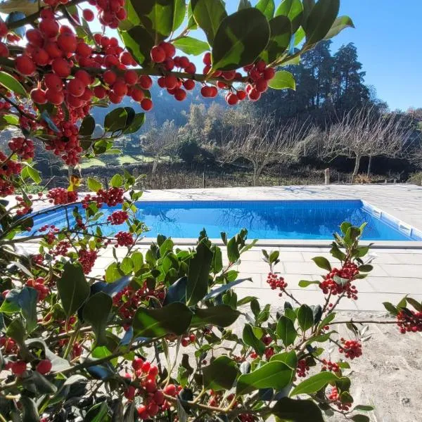 Casa Dos Strecht's, hotel v destinaci Castelo de Paiva